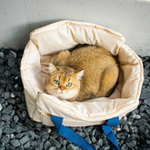 Peach Skin Velvet Cat Carrier
